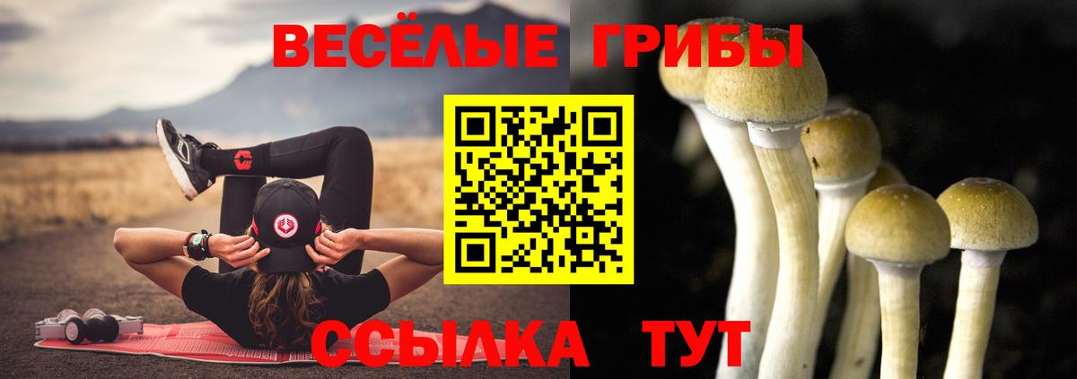 Галлюциногенные грибы Psilocybe Богородск